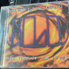 Grey Lady Down: The Time of Our Lives 2cd - pikkukuva 1