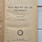 Tolstoi Leo - Mitä meidän on siis tekeminen? - pikkukuva 3