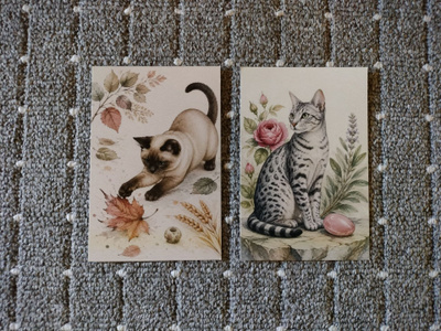 ~Kissa kortti~ 2kpl