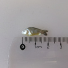 Nukkekoti, miniatyyri kala - pikkukuva 1