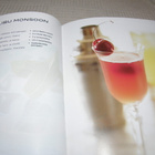 Anne Mcrae Hopeinen kirja cocktailit   -sid - pikkukuva 2