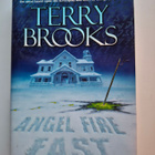 Brooks, Terry: Word & Void book 3: Angel Fire East - pikkukuva 1