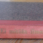 James Hadley Chase: Ei mitään ilmaiseksi, G:rus 1953. 221 s. - pikkukuva 1