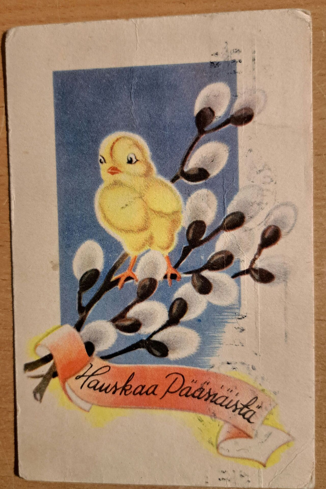 tipu pajunoksalla,  kulkenut 1945