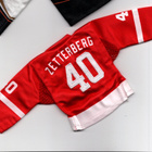 Henrik Zetterberg Detroit 07-08 Upper Deck Mini Jersey - pikkukuva 2