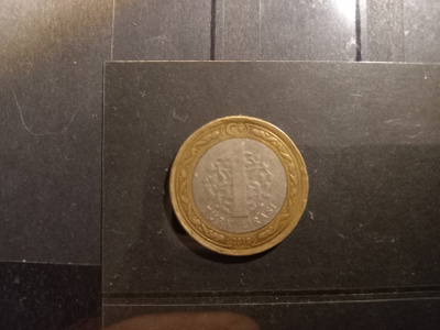 TURKKI 1L 2010