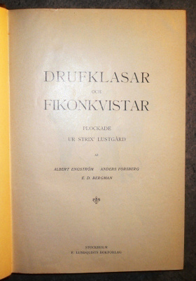 A. Engström : Drufklaser och Fikonkvistar  1907
