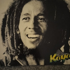 Bob Marley - pikkukuva 1