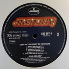 BOB GELDOF :: DEEP IN THE HEART OF NOWHERE : VINYYLI LP 1986 - pikkukuva 4