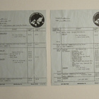 Ramones / Martha Velez The Ramones' Beat From The Street LP - pikkukuva 3