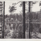Punkaharju kortti (3) - pikkukuva 1