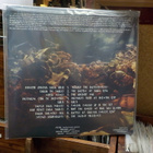 SKYFORGER - KAUJA PIE SAULES UUSI LP - pikkukuva 2