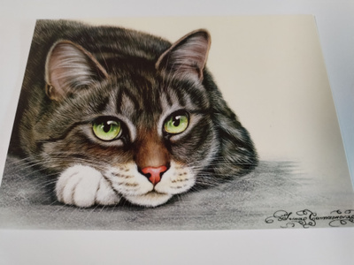 Kissa kortti,kulkematon.