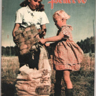 Kotiliesi 4 kpl. , Hopeapeili ja Pellervo, 1920-1960 lukua. - pikkukuva 5