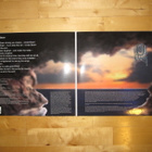 UNCLE BRAIN - UNCLE BRAIN  lp - pikkukuva 3