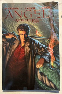 Angel: After The Fall Volume 1