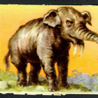 Heller - Nelkku - Norsu / elefantti - 1940-luvulta - pikkukuva 1