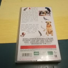 ELÄINTOHTORI "Eddie Murphy" vhs - pikkukuva 2