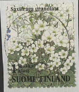1994 1.lk ketokukkia papelorikko  loisto