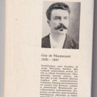 Guy de Maupassant: Painajaisuni - pikkukuva 2