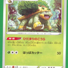 Pokémon Grotle - pikkukuva 1