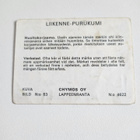 Liikenne-purukumi	17428	Chymos - pikkukuva 2