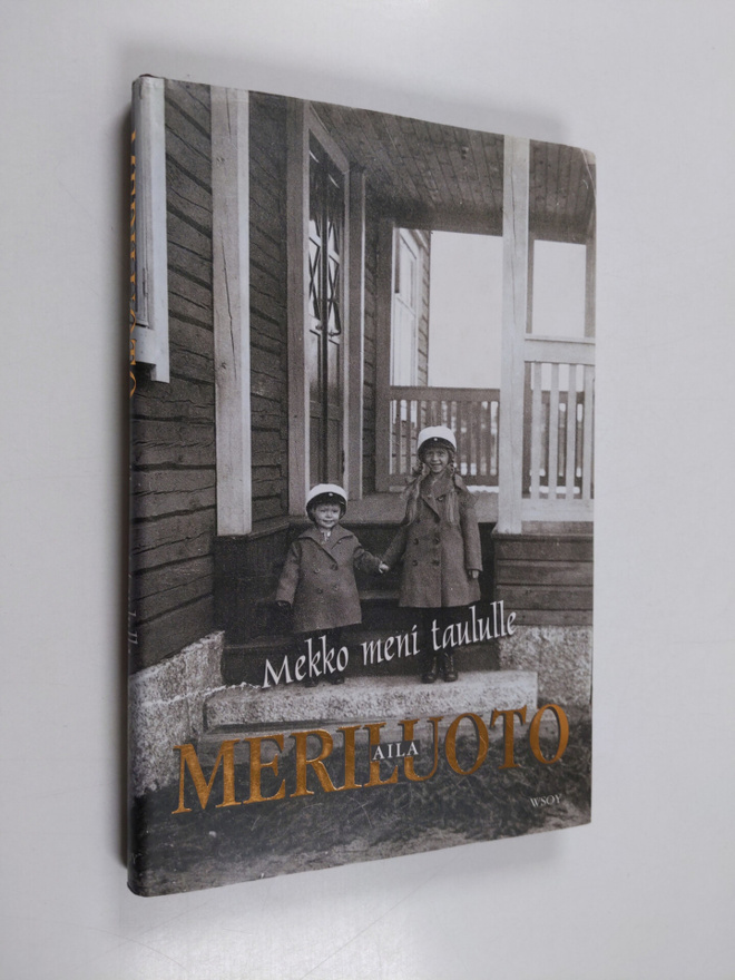 Aila Meriluoto : Mekko meni taululle