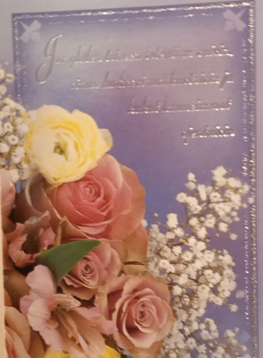no 1 - jos yhden toiveen toteuttaa saisin