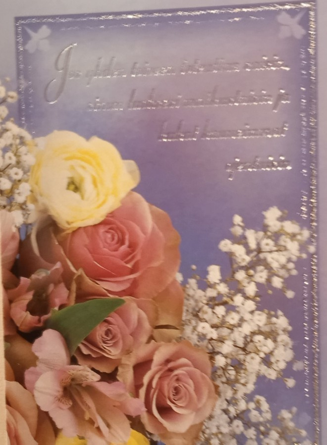 no 1 - jos yhden toiveen toteuttaa saisin