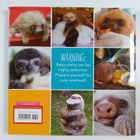 Lucy Cooke : A Little Book of Sloth - pikkukuva 2
