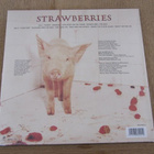 The Damned Strawberries lp muoveissa EU 2015 - pikkukuva 2