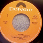 AKIMOWSKAJA SISTERS & BROS :: HUI HAI :: VINYYLI 7" 1988 - pikkukuva 2