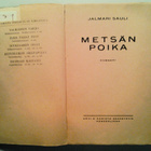 Sauli Jalmari: Metsän poika, v. 1924 - pikkukuva 4