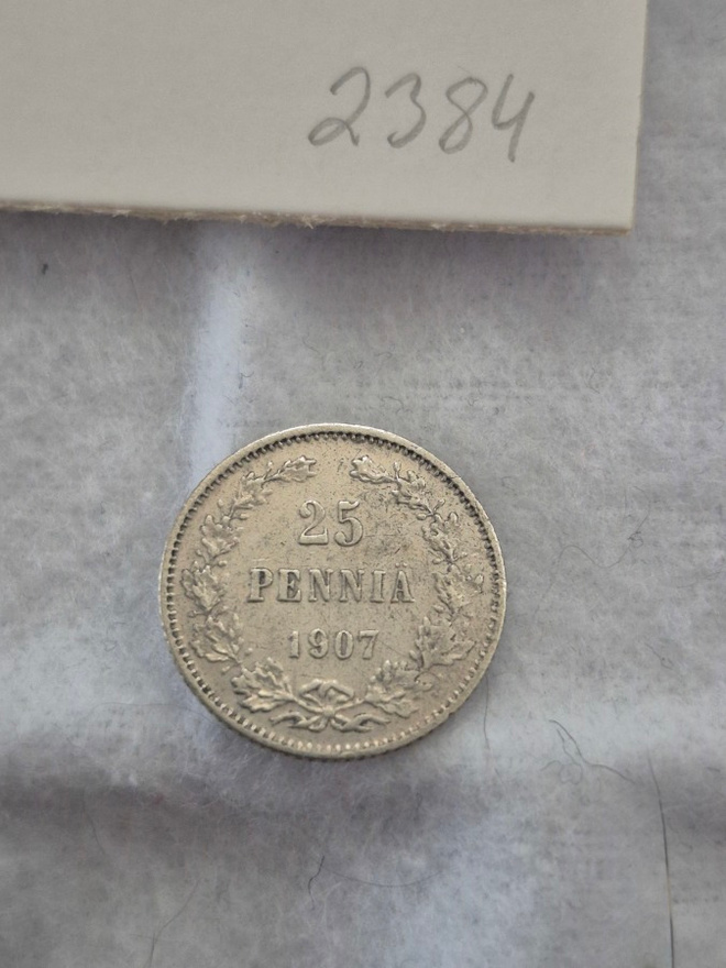 25 penniä 1907, Suomi