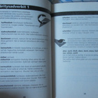 Ilkka Rekiaro / Nykysaksan preppauskirja - pikkukuva 4
