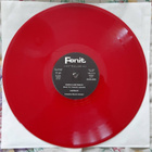 Garybaldi: Astrolabio, Italia uusintapainos LP M- - pikkukuva 4