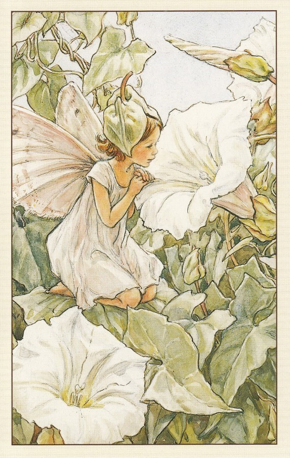 Cicely Mary Barker: Kukkakeijut valkokarhunköynnös