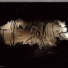 THE DOWBLE LOOSE IN THE AIR - pikkukuva 1