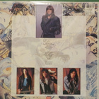 BRUCE DICKINSON - TATTOOED MILLIONAIRE - EU 1990 EX+/EX+ LP - pikkukuva 2
