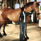 Pippa Funnell 3: The Golden Stirrup Challenge (PC) (UUSI) -5 - pikkukuva 3