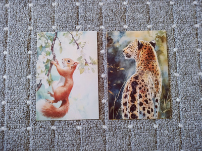~Eläin kortti~ 2kpl