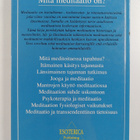 Lauri Rauhala : Mitä meditaatio on - pikkukuva 2