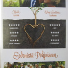 EEDENISTÄ POHJOISEEN DVD - pikkukuva 1