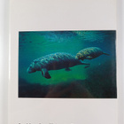 C. C. Lockwood : The Gulf Coast : where land meets sea - pikkukuva 2