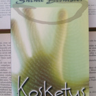 Salme Blomster - Kosketus (nid.) - pikkukuva 2