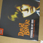 David Bowie standing on my own lp muoveissa ltd 300 väri - pikkukuva 1