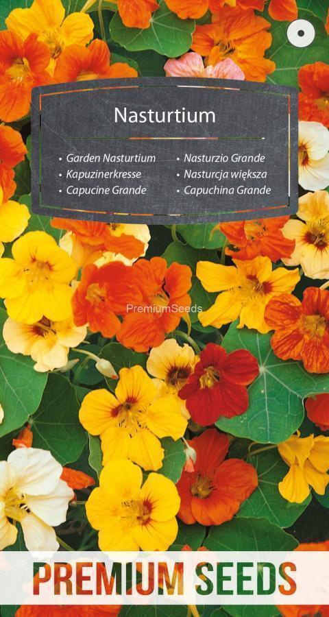 Isoköynnöskrassi - Garden Nasturtium - siemenet #