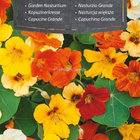 Isoköynnöskrassi - Garden Nasturtium - siemenet # - pikkukuva 1
