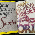 Isaac Bashevis Singer: Orja & Shosha - pikkukuva 1