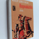 Robert James Green : Hopeakätkö : historiallinen seikkail... - pikkukuva 1